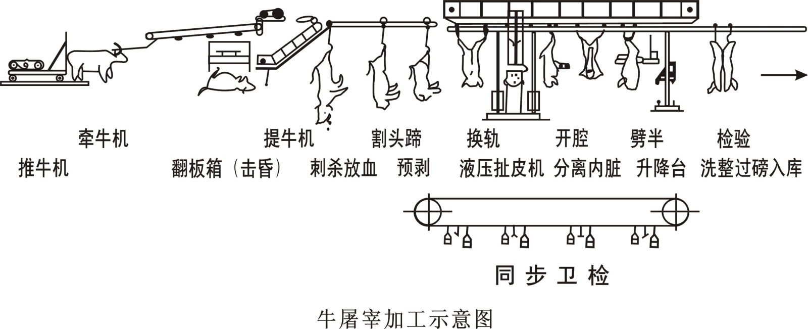 肉牛屠宰加工工藝流程介紹