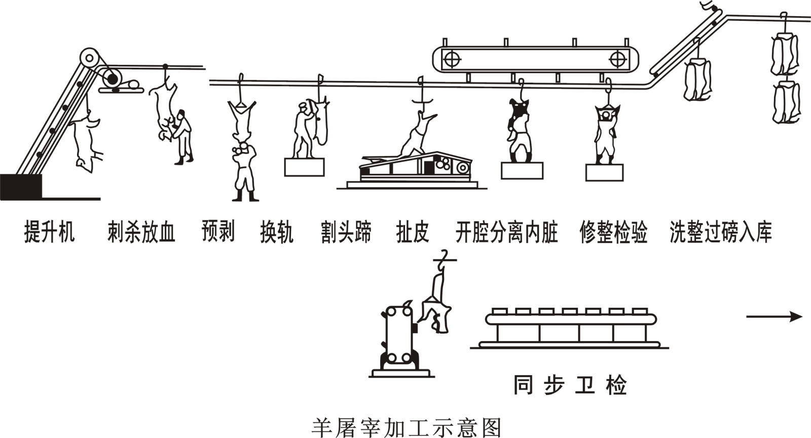 肉羊屠宰加工工藝流程介紹